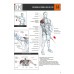 POSILOVÁNÍ • Anatomický průvodce 3. vydání