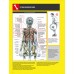 POSILOVÁNÍ • Anatomický průvodce 3. vydání