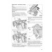 VW POLO IV • 11/01–5/09 • SEAT IBIZA • 4/02–4/08 • Jak na to? č. 116