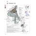 POSILOVÁNÍ • Anatomický průvodce - !!! Poslední 3 kusy !!!